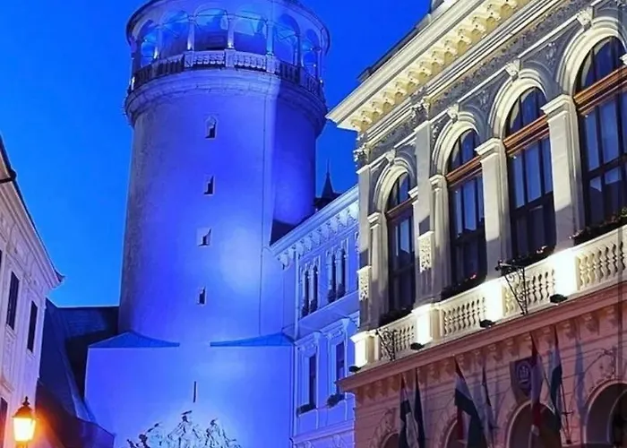 Sicomoro Casa