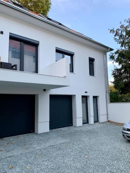 Sicomoro Casa *
